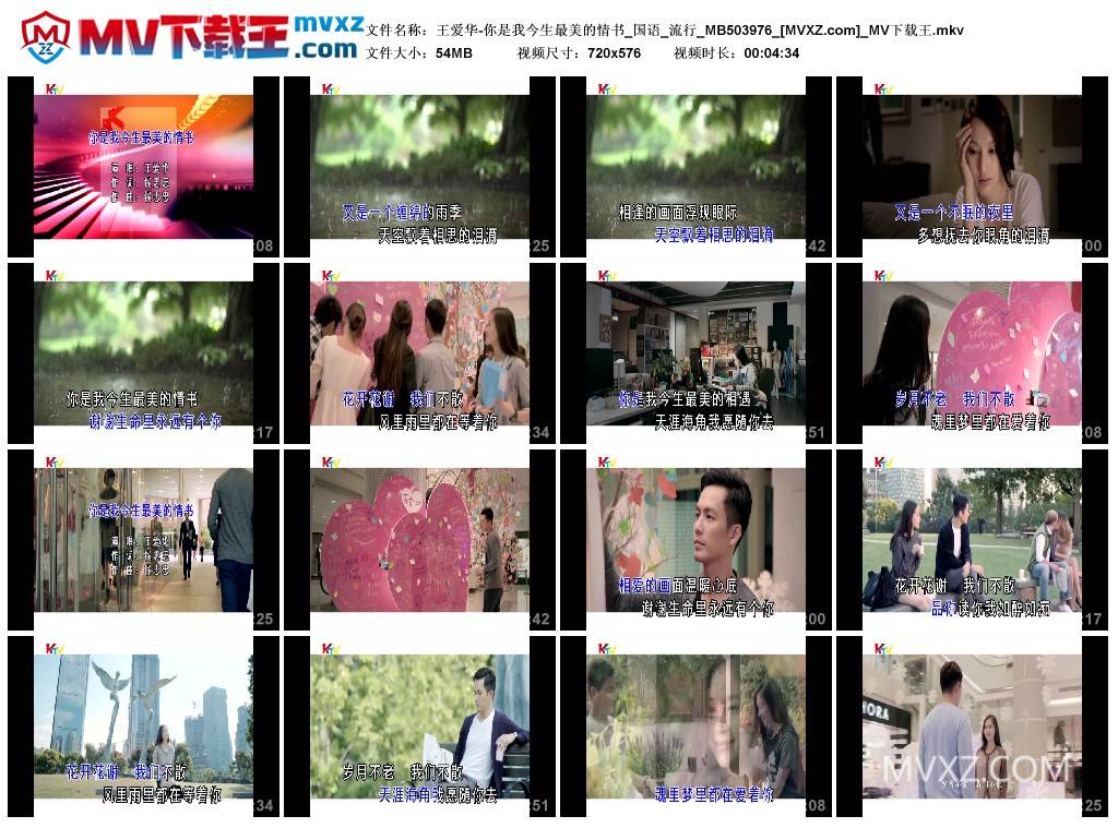 王爱华-你是我今生最美的情书_国语_流行_MB503976